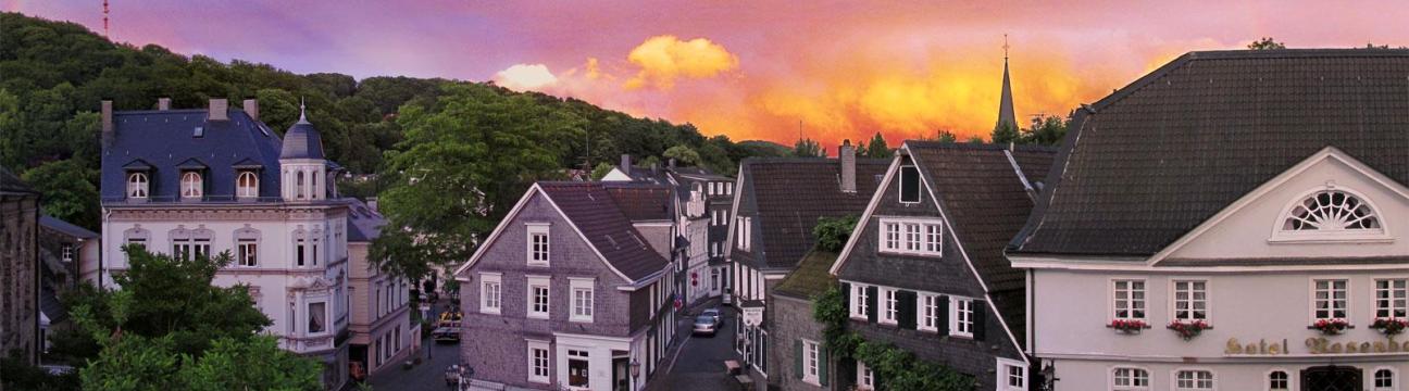 Elvis Martin Schmidt