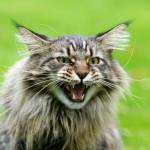 Renate55 Profile Picture